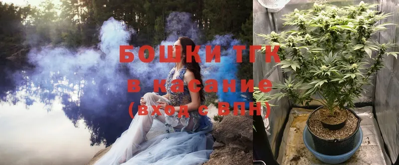 Шишки марихуана THC 21%  Партизанск 